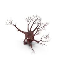 Leafless Evil Brown Tree PNG & PSD Images