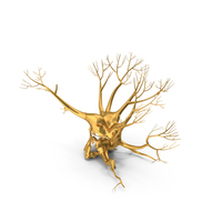 Leafless Evil Golden Tree PNG & PSD Images