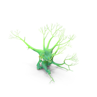 Leafless Evil Green Shine Tree PNG & PSD Images