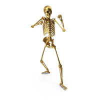 Golden Skeleton Boxing Stance PNG & PSD Images