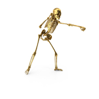 Golden Skeleton Front Punch PNG & PSD Images
