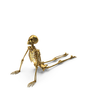 Golden Skeleton Yoga Pose Cobra PNG & PSD Images