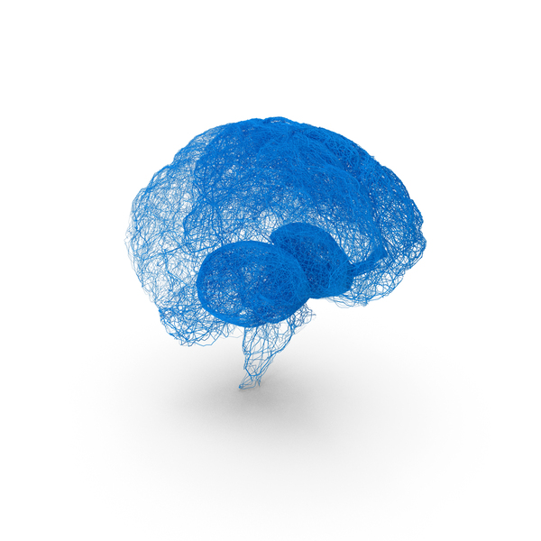 Brain Neural Network PNG & PSD Images