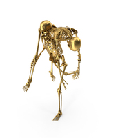 Two Golden Skeletons With One Carrying the Wounded Other PNG & PSD Images