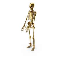 Golden Skeleton With Shackles PNG & PSD Images