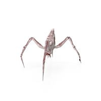 Spider Monster PNG & PSD Images