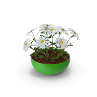 Flowers in Green Pot PNG & PSD Images