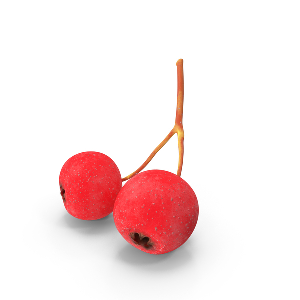 Two Hawthorn Berries PNG & PSD Images