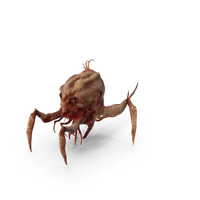 Spider Head Monster PNG & PSD Images