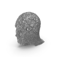 Silver Wire Sculpture Head PNG & PSD Images