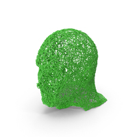 Green Wire Sculpture Head PNG & PSD Images