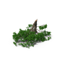 Fallen Trees PNG & PSD Images