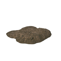 Branch And Rock Landslide PNG & PSD Images