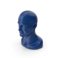 Mannequin Head PNG & PSD Images