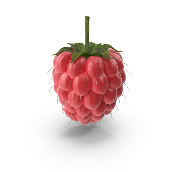 Raspberry PNG & PSD Images