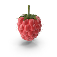 Raspberry PNG & PSD Images