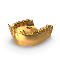 Golden Animal Mouth Lower Jaw PNG & PSD Images