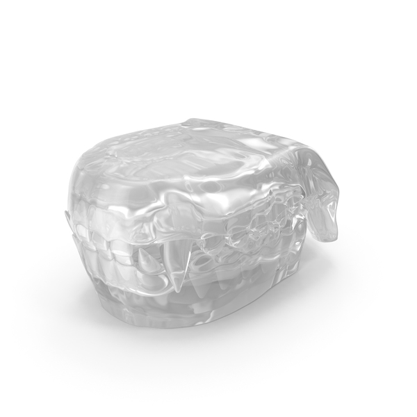 Transparent Animal Mouth PNG & PSD Images