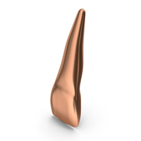 Copper Human Teeth Upper Central Incisor PNG & PSD Images