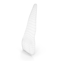 Human Teeth Upper Central Incisor Wireframe PNG & PSD Images