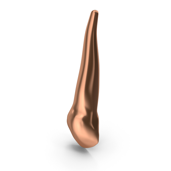 Copper Human Teeth Upper Canine PNG & PSD Images
