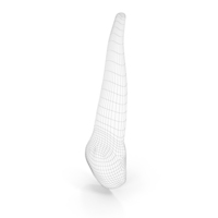 Human Teeth Upper Canine Wireframe PNG & PSD Images