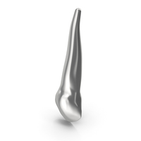 Silver Human Teeth Upper Canine PNG & PSD Images