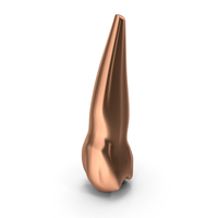 Copper Human Teeth Upper Second Premolar PNG & PSD Images