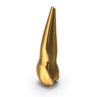 Golden Human Teeth Upper Second Premolar PNG & PSD Images