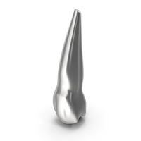 Silver Human Teeth Upper Second Premolar PNG & PSD Images