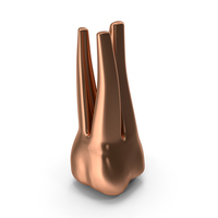 Copper Human Teeth Upper First Molar PNG & PSD Images