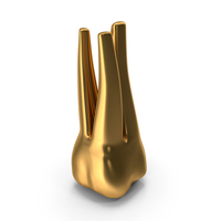 Golden Human Teeth Upper First Molar PNG & PSD Images