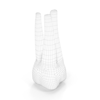 Wireframe Human Teeth Upper First Molar PNG & PSD Images