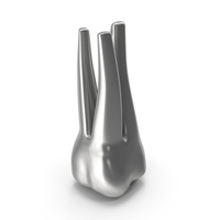 Silver Human Teeth Upper First Molar PNG & PSD Images