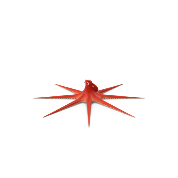 Hank Finding Dory PNG & PSD Images