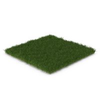 Grass Patch PNG & PSD Images