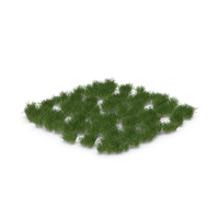 Coarse Grass Patch PNG & PSD Images