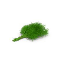 Dill Bunch With Rope PNG & PSD Images