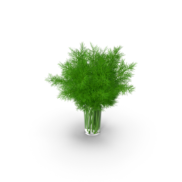 Dill Water Glass PNG & PSD Images