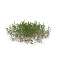 Small Green Grass Patch PNG & PSD Images