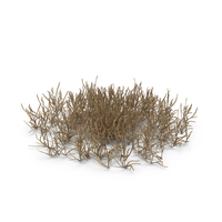 Small Dead Grass Patch PNG & PSD Images