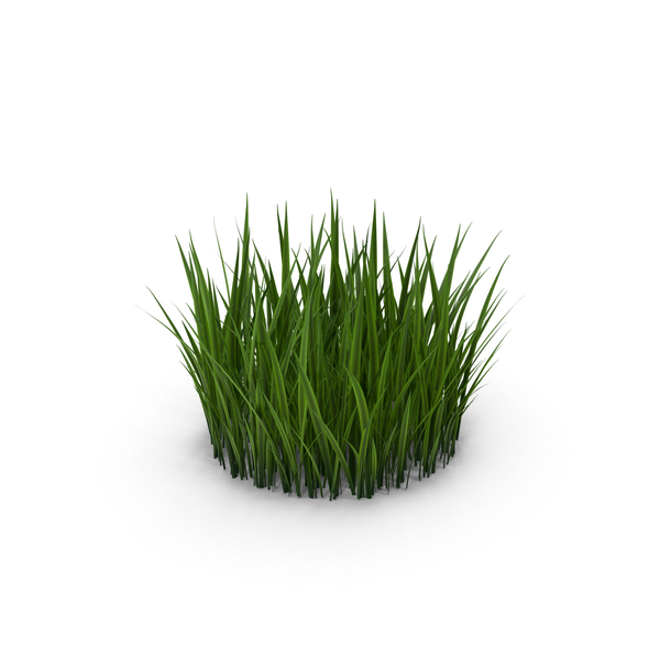 Simple Grass Small PNG & PSD Images