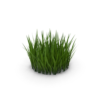 Simple Grass Small PNG & PSD Images