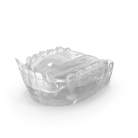 Transparent Animal Mouth Open PNG & PSD Images