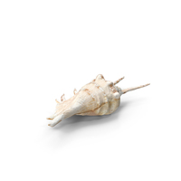 Scorpio Spider Shell PNG & PSD Images