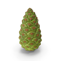 Green Pine Cone PNG & PSD Images