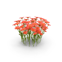Meadow With Red Flowers PNG & PSD Images