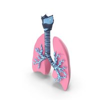 Lungs Trachea Plastic PNG & PSD Images