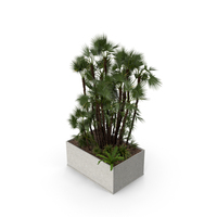 Potted Tropical PNG & PSD Images