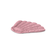 Carpet Shell Pink PNG & PSD Images